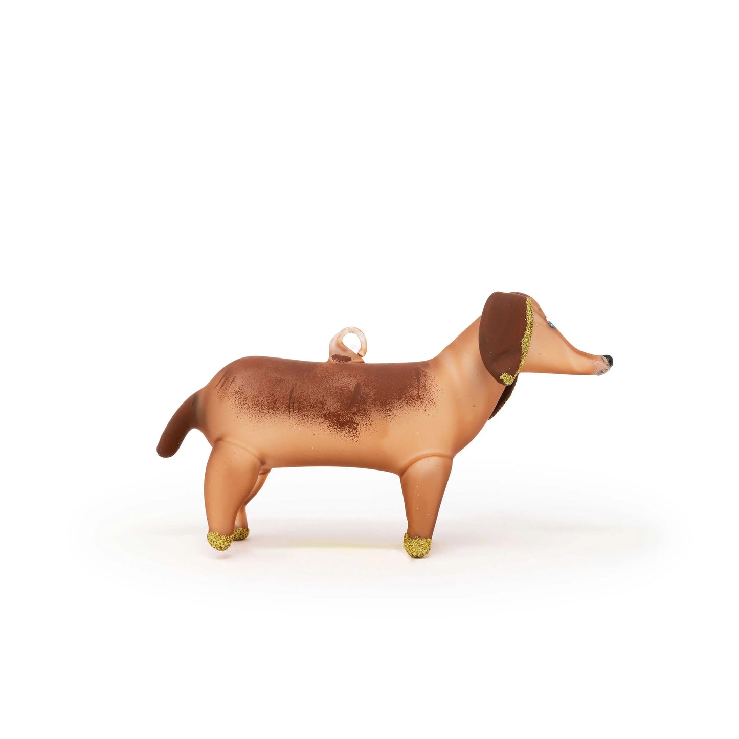 Dachshund